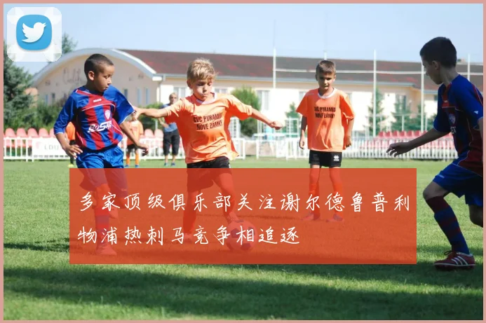 多家顶级俱乐部关注谢尔德鲁普利物浦热刺马竞争相追逐